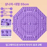 샤넬 퍼플 10세대9자석 × 1개