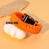 1_오렌지 × 1개