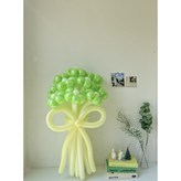 그린 데이지 5송이 × 1개