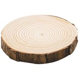 02.大款10-11cm(厚度1cm) × 1個