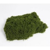 B Weight 0.2kg × 1개