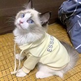 杏色寵物加絨衛衣 × 1個