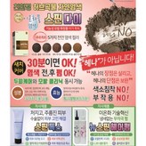 골든메이플