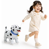 달마시안 × 1개