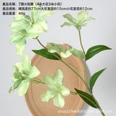 7頭火焰蘭綠色:1個 × 1個