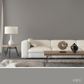 冰島灰,1.2kg(超取限2罐) × 1個