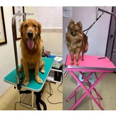 HT-22 퍼플 대형 115x60 × 1개