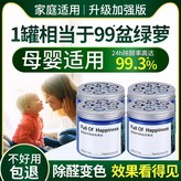 德系除甲醛果凍*5:無規格 × 1個