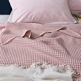 D. 정제된 토란 가루 × 1개