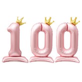 숫자100