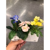 B款FEJKA 三件組 × 1個