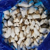 꼬꼬마새송이2kg