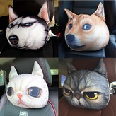 XD118T애기화이트