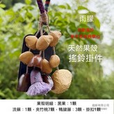 雨朦（11顆果殼+1流蘇）掛件 × 1套