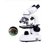 1. Ultimate 11만회 × 1개