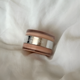 라이트/로지살몬