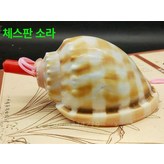 라이트 × 1개