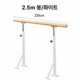 단층 2.5m 2개지지대 × 1개