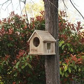 내추럴 기둥걸이형 × 1개