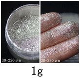 [17] 은분 V080S   1g × 1개