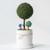 02_모스그린 × 1개