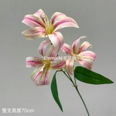 深粉 × 1個