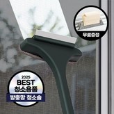 샤인 옐로우 × 1개