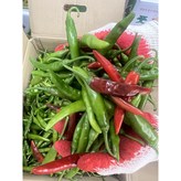 청양혼합 1kg × 1개