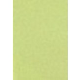 素面粉綠 × 1個