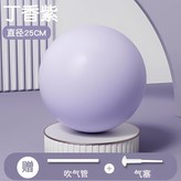 25CM淺紫色送吹氣管 × 1個