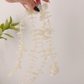 화이트유칼립 롱 × 1개