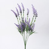 퍼플 × 1개