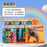 升級版彩虹花S版6-9DD 30冊 × 1個
