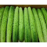 백다다기(특품) 3kg 15개내외 × 1개