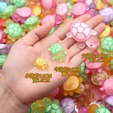 4. 대가족 (각2 총6마리 랜덤색상) × 1개