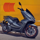 레드(Red) × 1세트