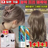 해이즐넷 그레이 브라운