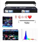 黑色,1尺30公分 × 1個