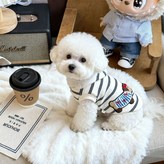 黑白條紋連帽衛衣,2XL 建議5.0-7.0公斤) × 1個