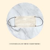 成人 莫蘭迪｜燕麥奶 50入 × 1個
