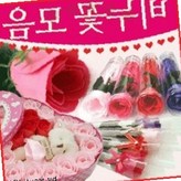 장미비누꽃(OPP형-레드) × 1개