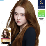 6.30호 밝은갈색(황금빛)