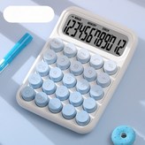 베이직 블루 × 1개