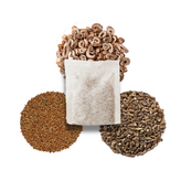 【48號】更年期五號 【15克】 × 1個