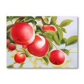 빨간 사과 40*50cm