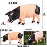 HZJM093母金華豬:1517 × 1個