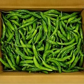 1kg × 1개