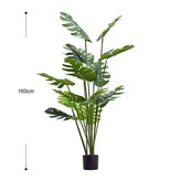 1.6米龜背 × 1個
