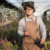 거봉 삽목 2년생 포트묘 × 1개