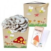 흑색 느타리버섯 × 1세트